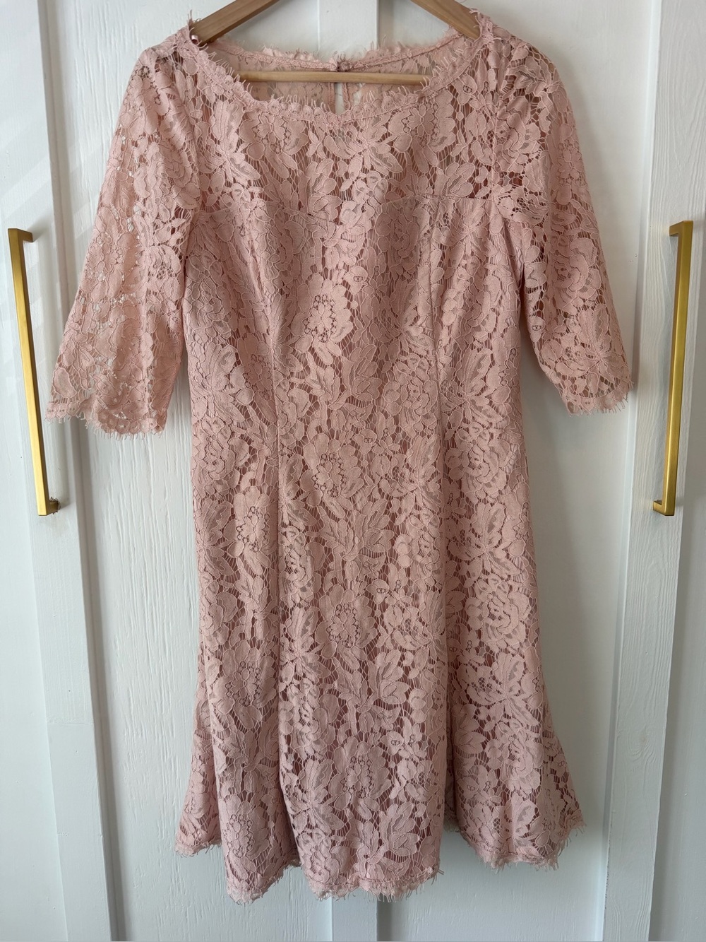 Eliza J Lace Fit & Flare Cocktail Dress in Blush, Size 8.
